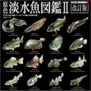 原色淡水魚図鑑II 改訂版の画像