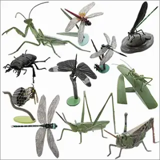 原色日本昆虫図鑑Ⅱの画像