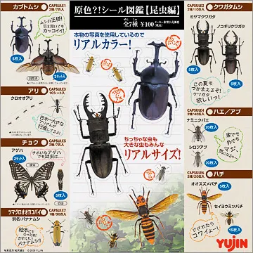 原色!?シール図鑑【昆虫編】(画像)