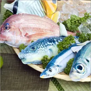 原色？！空気模型図鑑［魚類新版］の画像