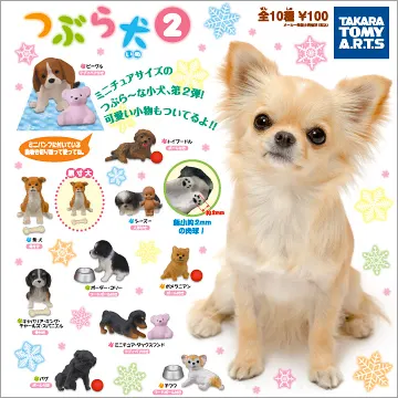 つぶら犬2(画像)
