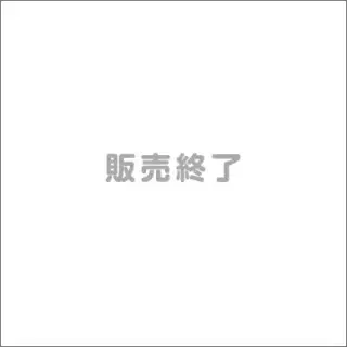 東方神起ミニチュアCDコレクションⅡの画像