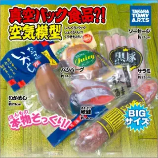 真空パック商品?!空気模型の画像