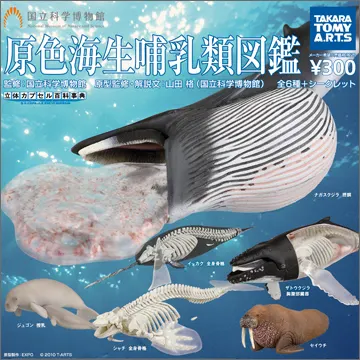 立体カプセル百科事典 原色海生哺乳類図鑑(画像)