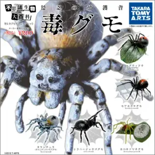 不思議生物大百科 穏忍の捕獲者 毒グモの画像