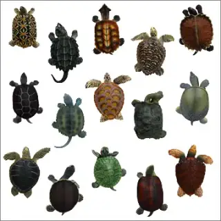 立体カプセル百科事典 原色爬虫類カメ目図鑑根付の画像