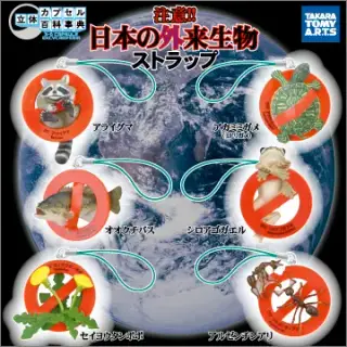 立体カプセル百科事典 注意!!日本の外来生物ストラップの画像
