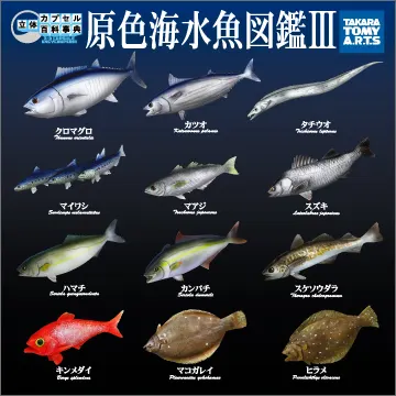 立体カプセル百科事典 原色海水魚図鑑Ⅲ(画像)
