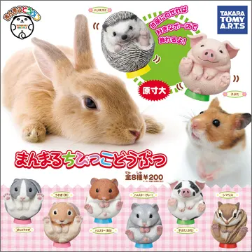 まんまるどうぶつ まんまるちびっこどうぶつ(画像)