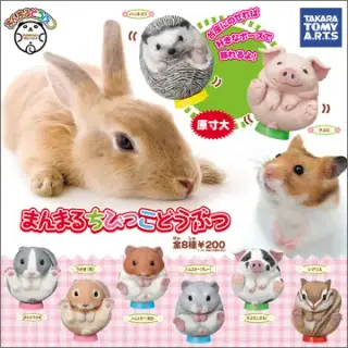 まんまるどうぶつ まんまるちびっこどうぶつの画像