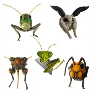 立体カプセル百科事典 立体昆虫顔面図鑑［日本編］の画像