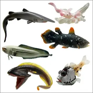 不思議生物大百科 深淵の放浪者 深海魚Ⅱの画像