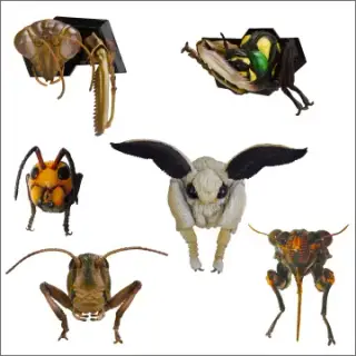 立体カプセル百科辞典 立体昆虫顔面図鑑［日本編EX］の画像