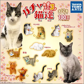 ガチャ猫達 その3(画像)