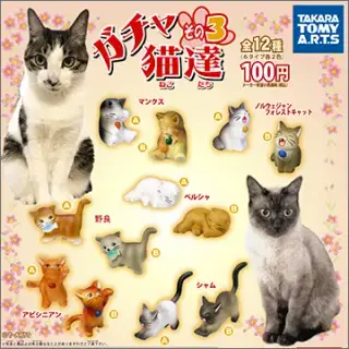 ガチャ猫達 その３の画像