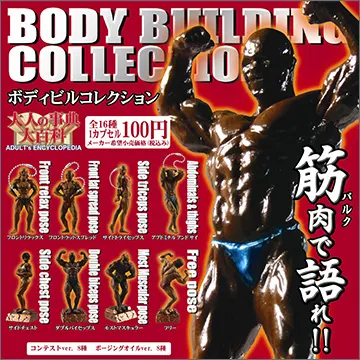 大人の辞典大百科 ボディビルコレクション(画像)