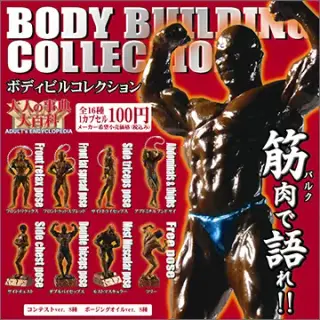 大人の辞典大百科 ボディビルコレクションの画像