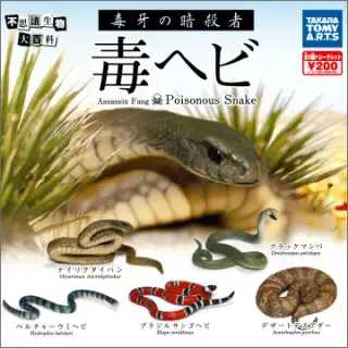 不思議生物大百科 毒牙の暗殺者 毒ヘビの画像