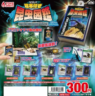 ミニチュア標本付き昆虫図鑑マスコット カブトムシ【ブルーフレイム】の画像