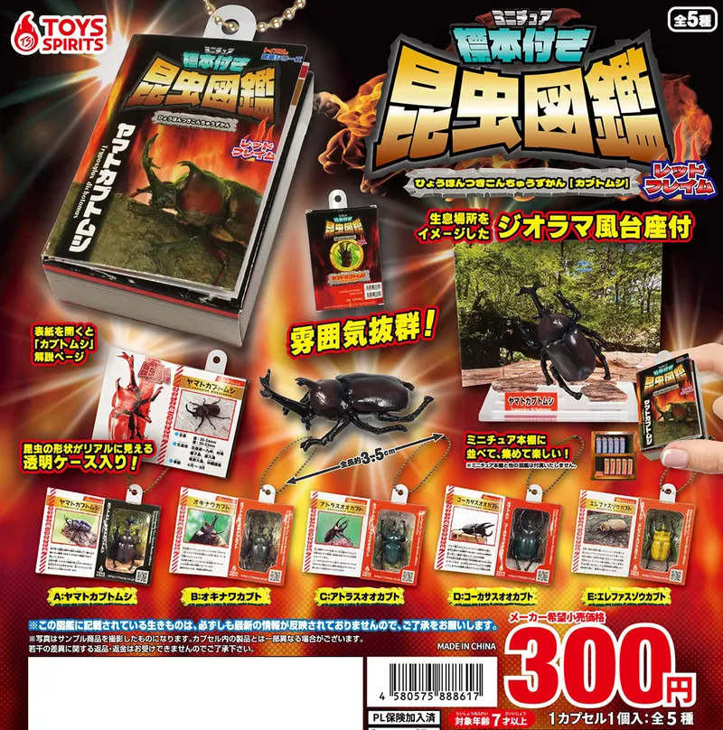 ミニチュア標本付き昆虫図鑑マスコット カブトムシ【レッドフレイム】(画像)