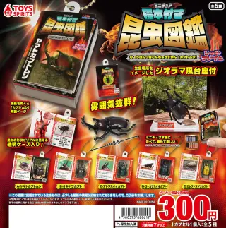 ミニチュア標本付き昆虫図鑑マスコット カブトムシ【レッドフレイム】の画像