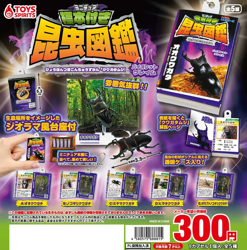 ミニチュア標本付き昆虫図鑑マスコット クワガタムシ【バイオレットフレイム】(画像)