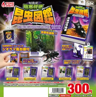 ミニチュア標本付き昆虫図鑑マスコット クワガタムシ【バイオレットフレイム】の画像