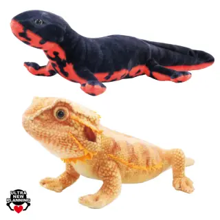 りあるあにまるず トカゲとイモリの画像